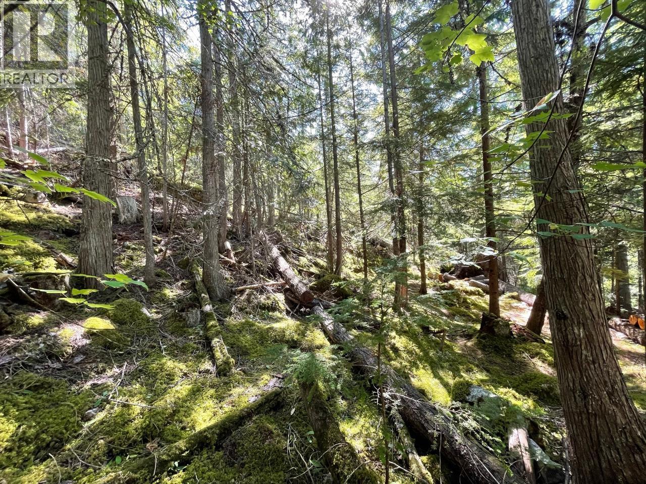 237 Rainbow Ridge Road, Procter, British Columbia  V1L 0B6 - Photo 10 - 10382255