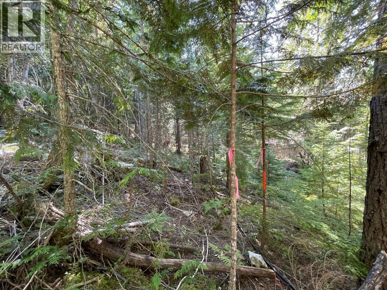 237 Rainbow Ridge Road, Procter, British Columbia  V1L 0B6 - Photo 12 - 10382255