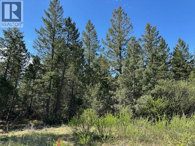 Berland Bend Lot# 27, Windermere, British Columbia  V0A 1K3 - Photo 1 - 10382315