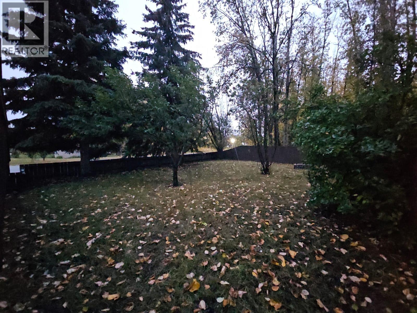 4801 52 Avenue Sw, Chetwynd, British Columbia  V0C 1J0 - Photo 65 - 10382300