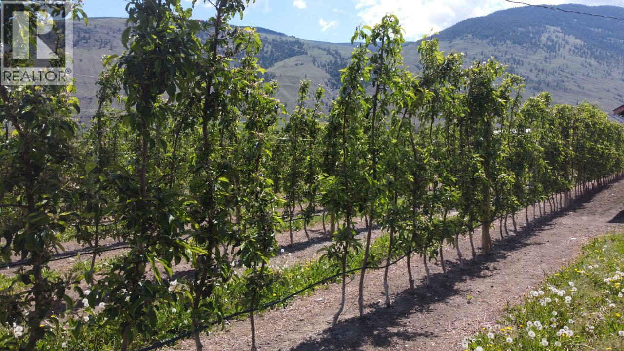 696 Lowe Drive, Cawston, British Columbia  V0X 1C2 - Photo 8 - 10382120