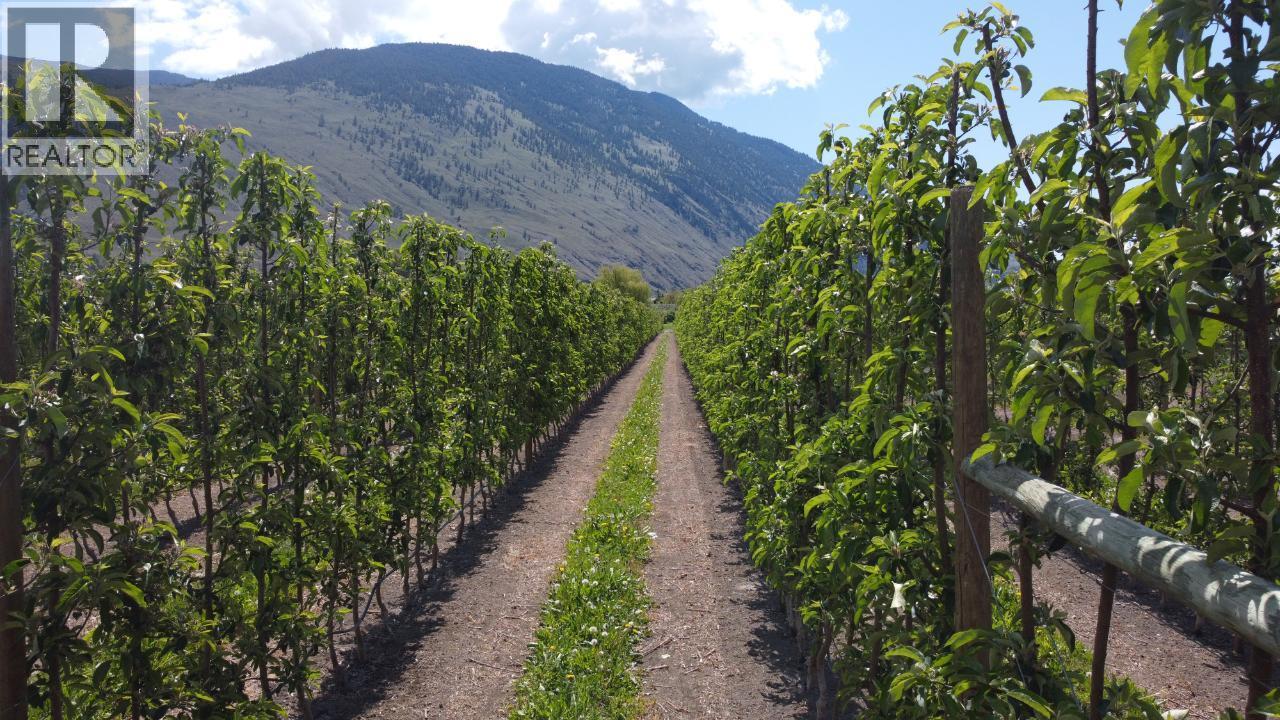 696 Lowe Drive, Cawston, British Columbia  V0X 1C2 - Photo 9 - 10382120