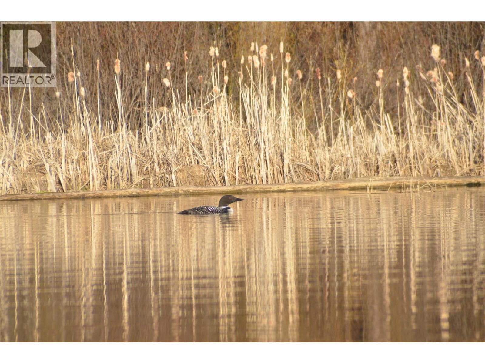 1888 Lakeview Drive, Kamloops, British Columbia  V0E 1Z1 - Photo 76 - 10382125