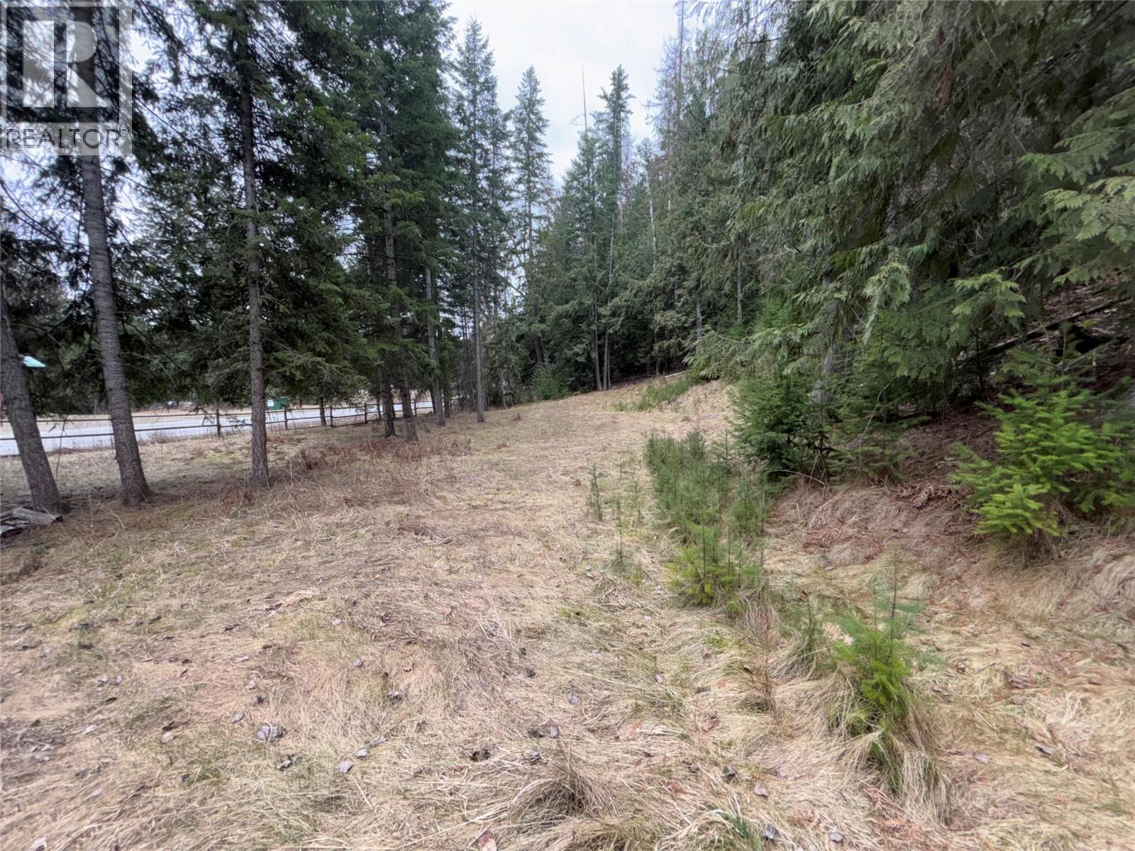 150 North Fork Road, Cherryville, British Columbia  V0E 2G0 - Photo 28 - 10382027