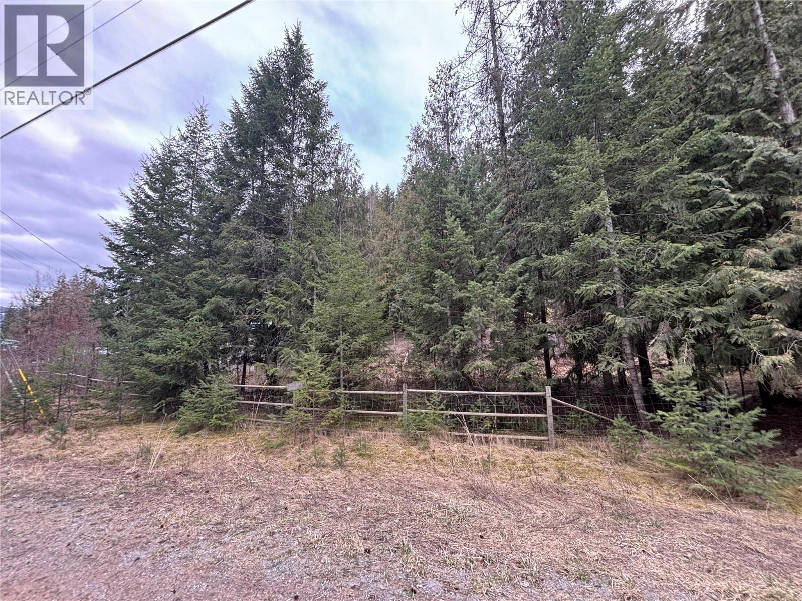 150 North Fork Road, Cherryville, British Columbia  V0E 2G0 - Photo 29 - 10382027