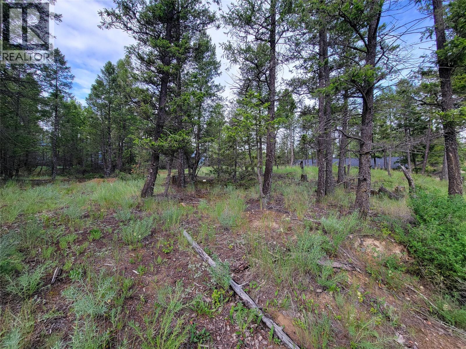 Lot 76 Copper Point Way, Windermere, British Columbia  V0B 2L0 - Photo 11 - 10382252