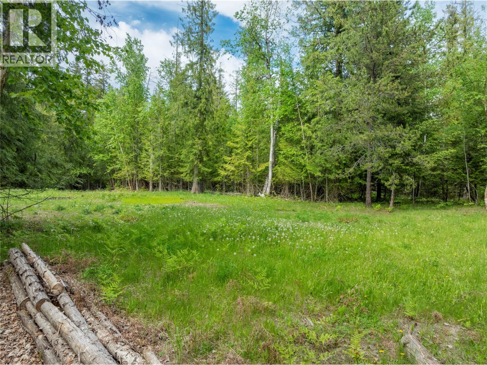 4006 Express Point Road, Scotch Creek, British Columbia  V0E 1M5 - Photo 66 - 10376321