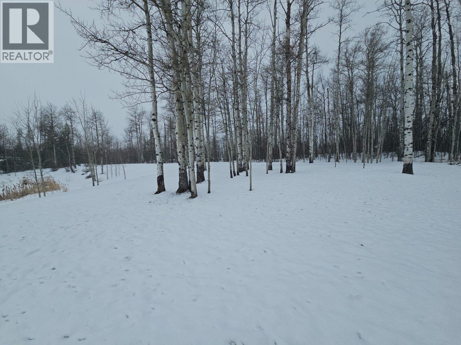 5746 97 Highway, Dawson Creek, British Columbia  V1G 0J3 - Photo 40 - 10382472