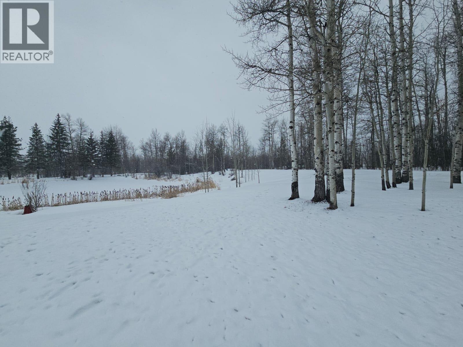 5746 97 Highway, Dawson Creek, British Columbia  V1G 0J3 - Photo 41 - 10382472