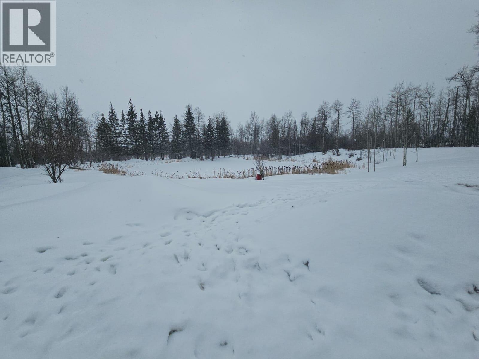 5746 97 Highway, Dawson Creek, British Columbia  V1G 0J3 - Photo 42 - 10382472