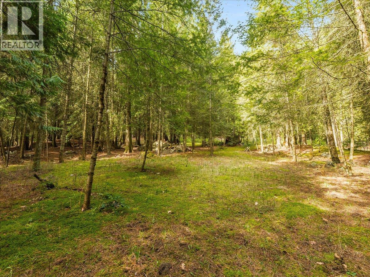 1663 Moran Road Road, Thrums, British Columbia  V1N 4N5 - Photo 42 - 10382160