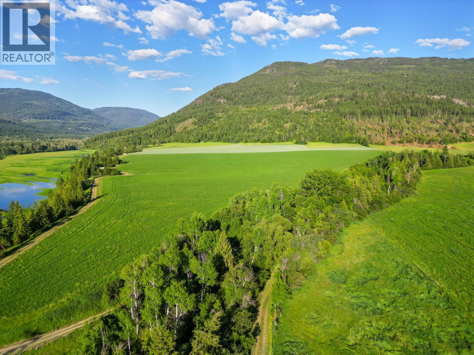 850 Fortune Road, Spallumcheen, British Columbia  V0E 1V0 - Photo 72 - 10381900