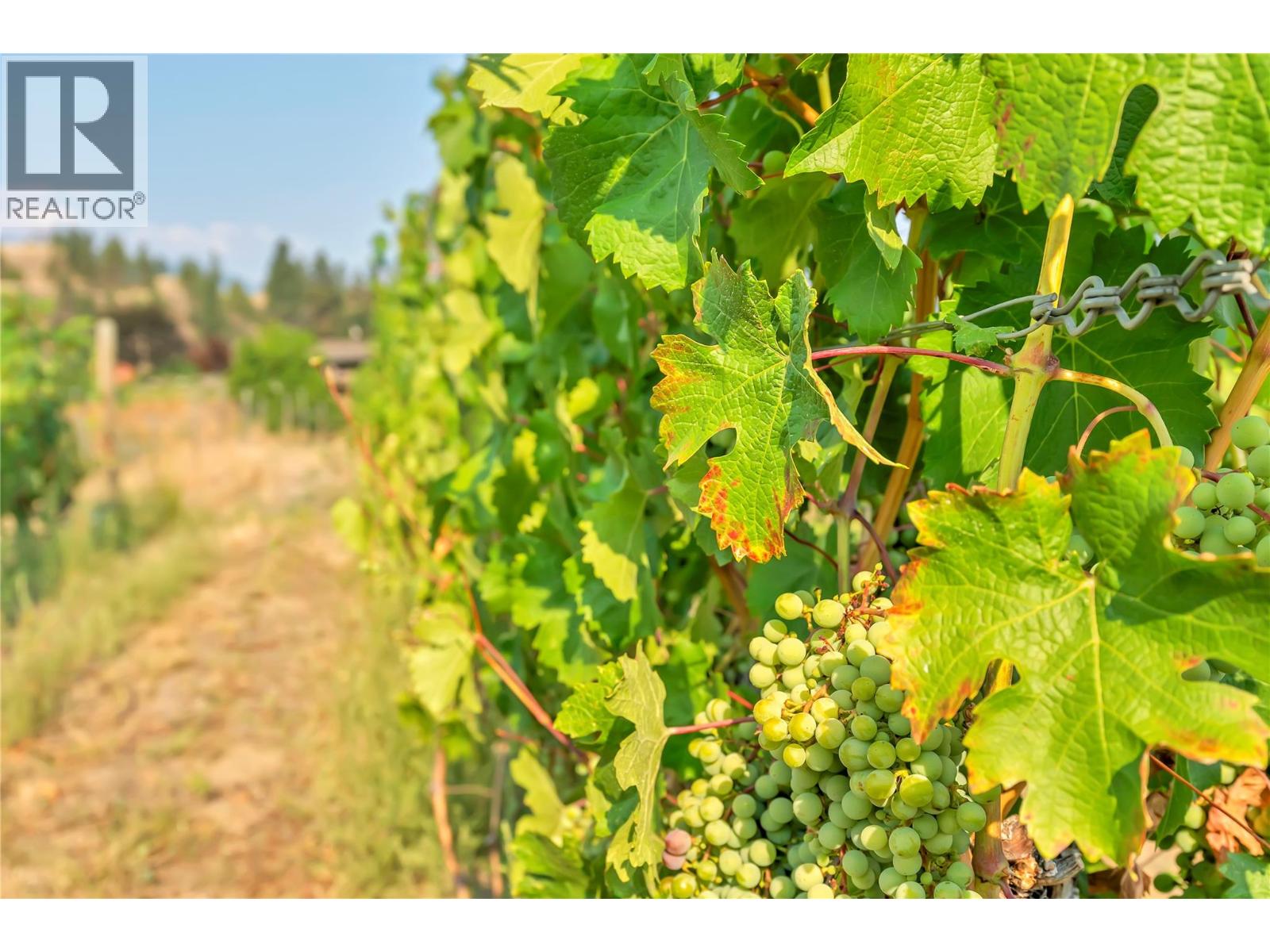 1275 Munson Avenue, Penticton, British Columbia  V2A 8T1 - Photo 30 - 10382278