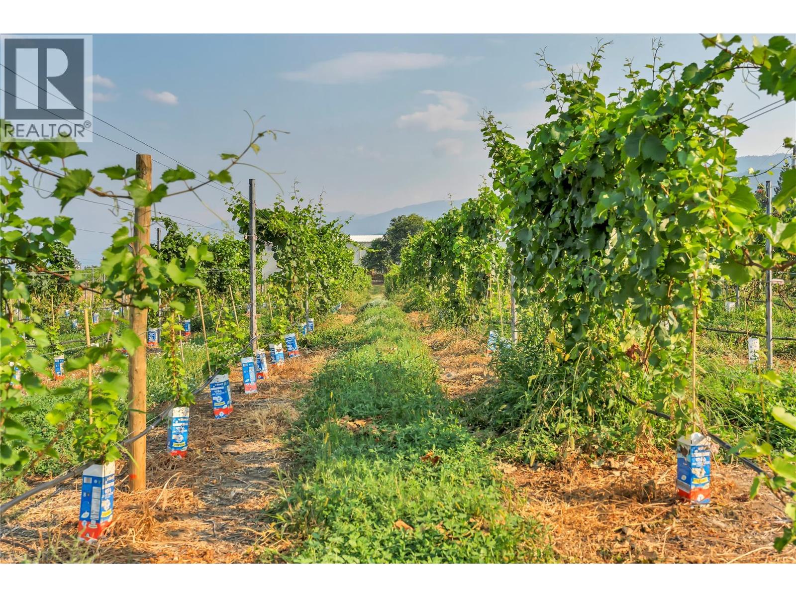 1275 Munson Avenue, Penticton, British Columbia  V2A 8T1 - Photo 29 - 10382270