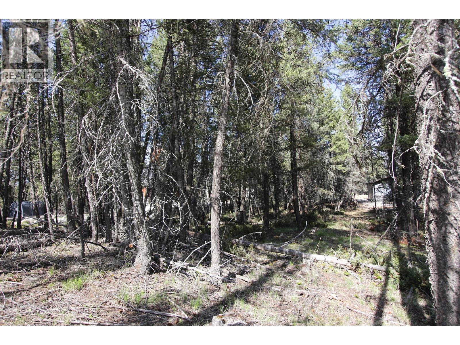 Lot 18 Osprey Landing Drive, Wardner, British Columbia  V0B 1R0 - Photo 3 - 10382494