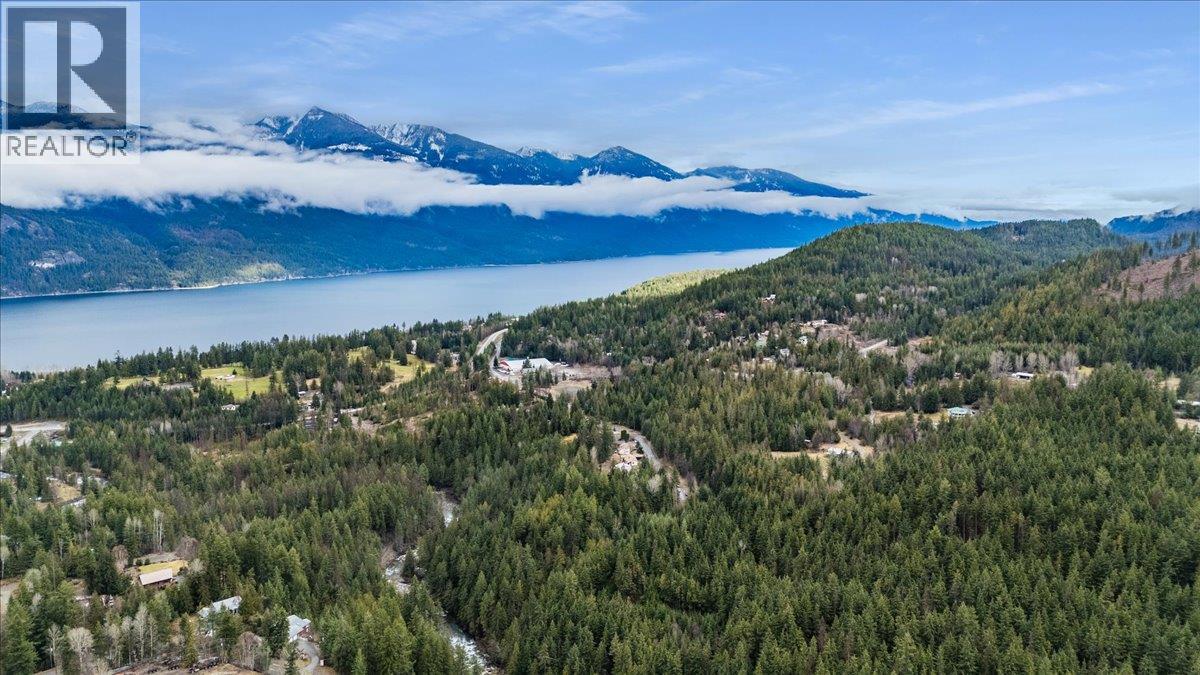Lot 1 Sherman Street, Kaslo, British Columbia  V0G 1M0 - Photo 16 - 10381185