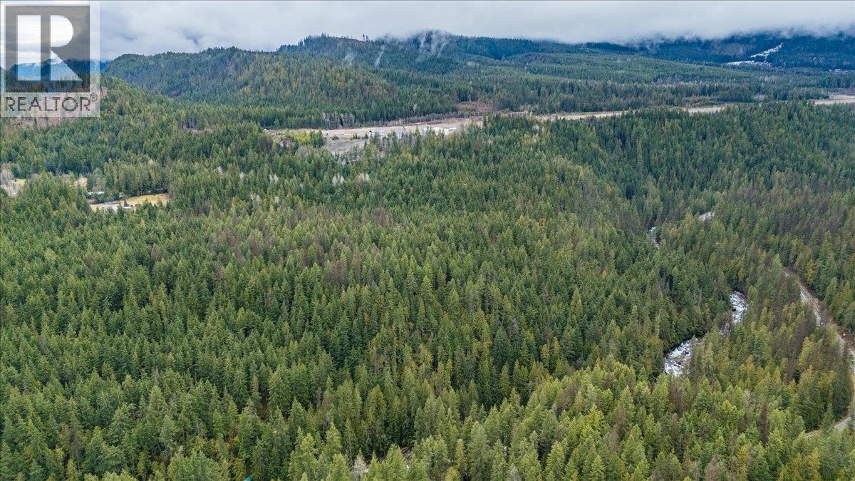 Lot 1 Sherman Street, Kaslo, British Columbia  V0G 1M0 - Photo 19 - 10381185