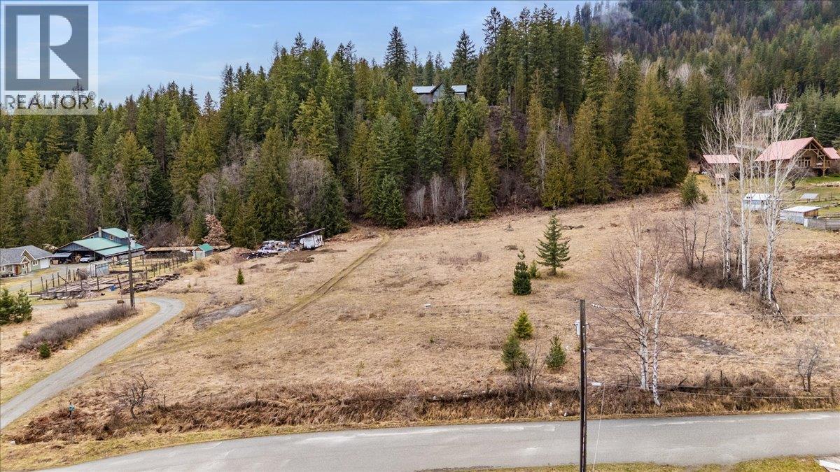 Lot 1 Sherman Street, Kaslo, British Columbia  V0G 1M0 - Photo 20 - 10381185