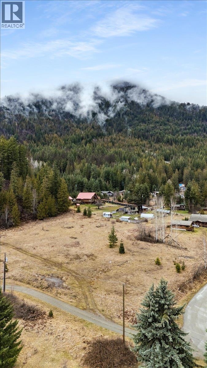 Lot 1 Sherman Street, Kaslo, British Columbia  V0G 1M0 - Photo 3 - 10381185