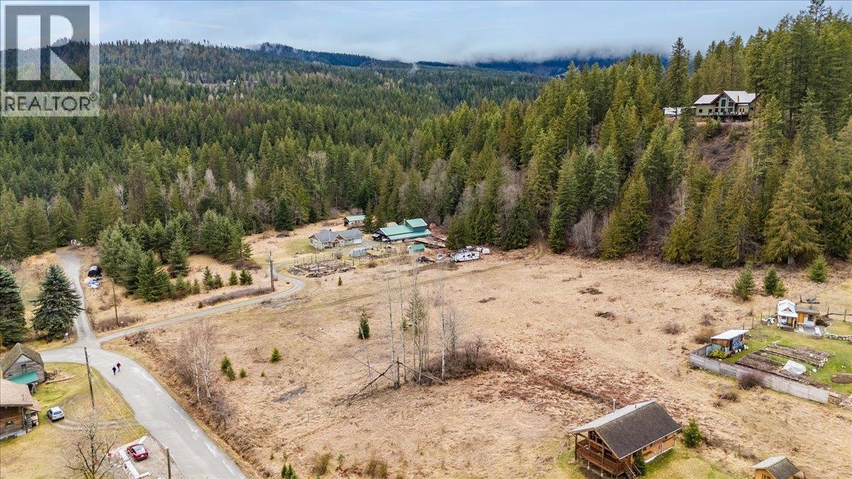 Lot 1 Sherman Street, Kaslo, British Columbia  V0G 1M0 - Photo 8 - 10381185