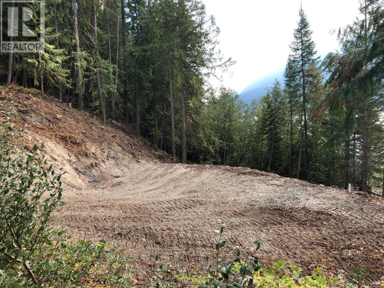 1399 Purcell Lane Lot# 18, Argenta, British Columbia  V0G 1A0 - Photo 5 - 10382420