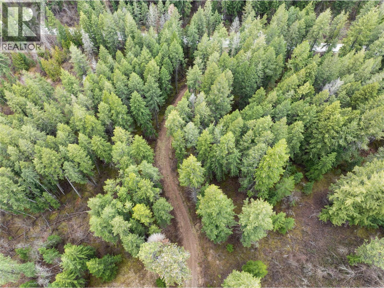 5560 Lakeshore Road Ne, Salmon Arm, British Columbia  V1E 3P5 - Photo 10 - 10382638