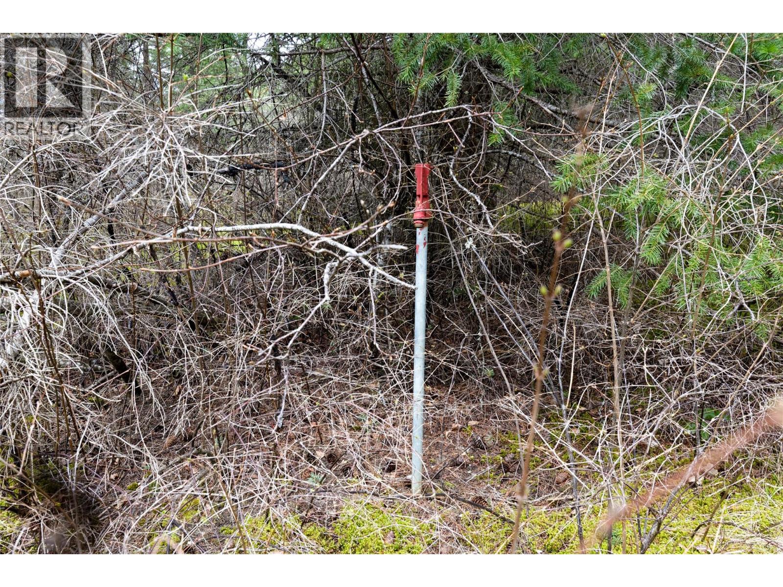 5560 Lakeshore Road Ne, Salmon Arm, British Columbia  V1E 3P5 - Photo 13 - 10382638