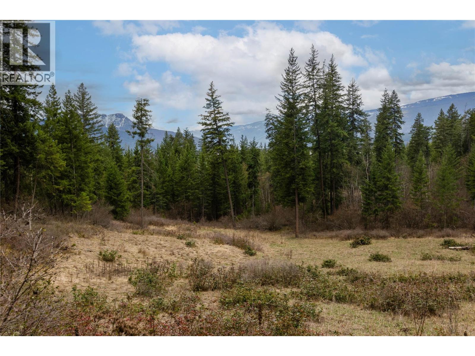 5560 Lakeshore Road Ne, Salmon Arm, British Columbia  V1E 3P5 - Photo 2 - 10382638