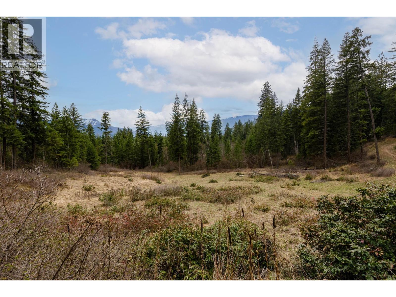 5560 Lakeshore Road Ne, Salmon Arm, British Columbia  V1E 3P5 - Photo 3 - 10382638