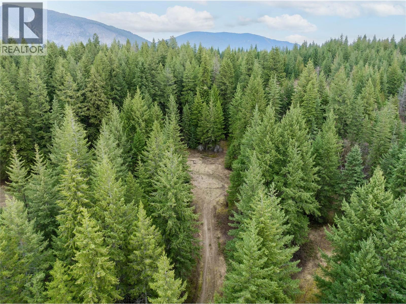 5560 Lakeshore Road Ne, Salmon Arm, British Columbia  V1E 3P5 - Photo 8 - 10382638