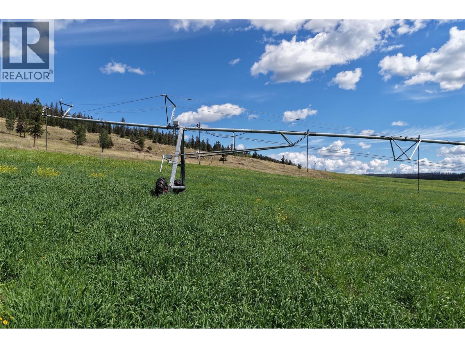 3850 Loon Lake Road, Loon Lake, British Columbia  V0K 2E1 - Photo 10 - 10382683