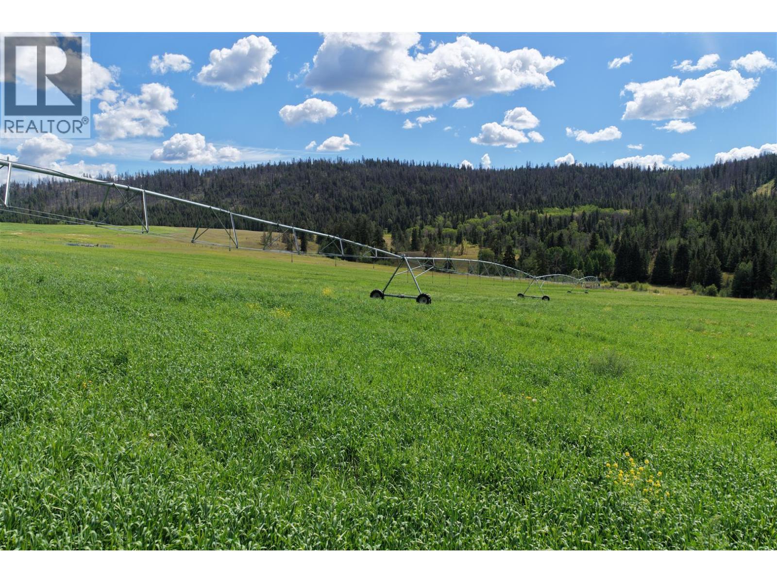 3850 Loon Lake Road, Loon Lake, British Columbia  V0K 2E1 - Photo 11 - 10382683