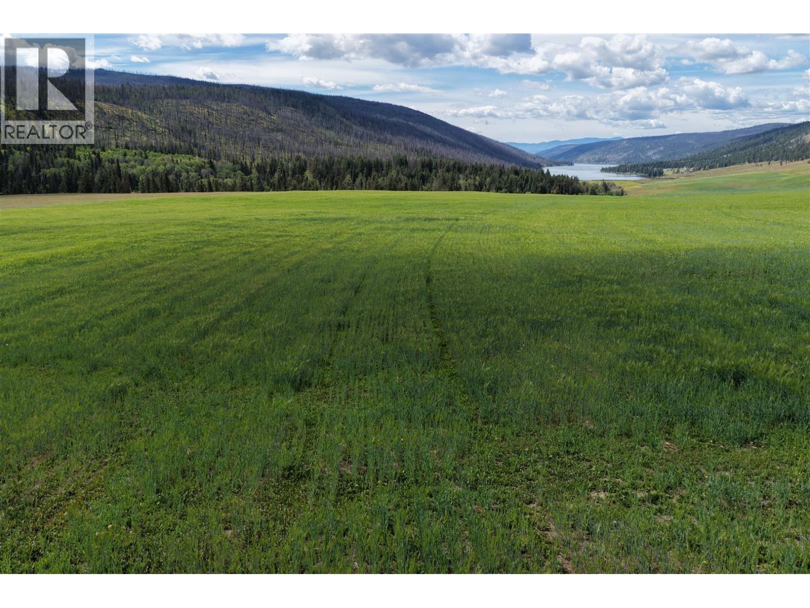 3850 Loon Lake Road, Loon Lake, British Columbia  V0K 2E1 - Photo 24 - 10382683