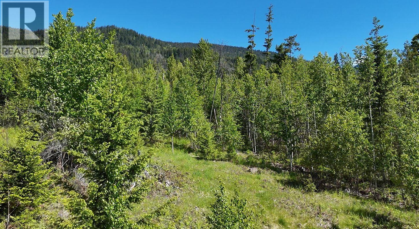 Lot 6 Lonneke Trail Lot# 6, Anglemont, British Columbia  V0E 1M8 - Photo 10 - 10382405