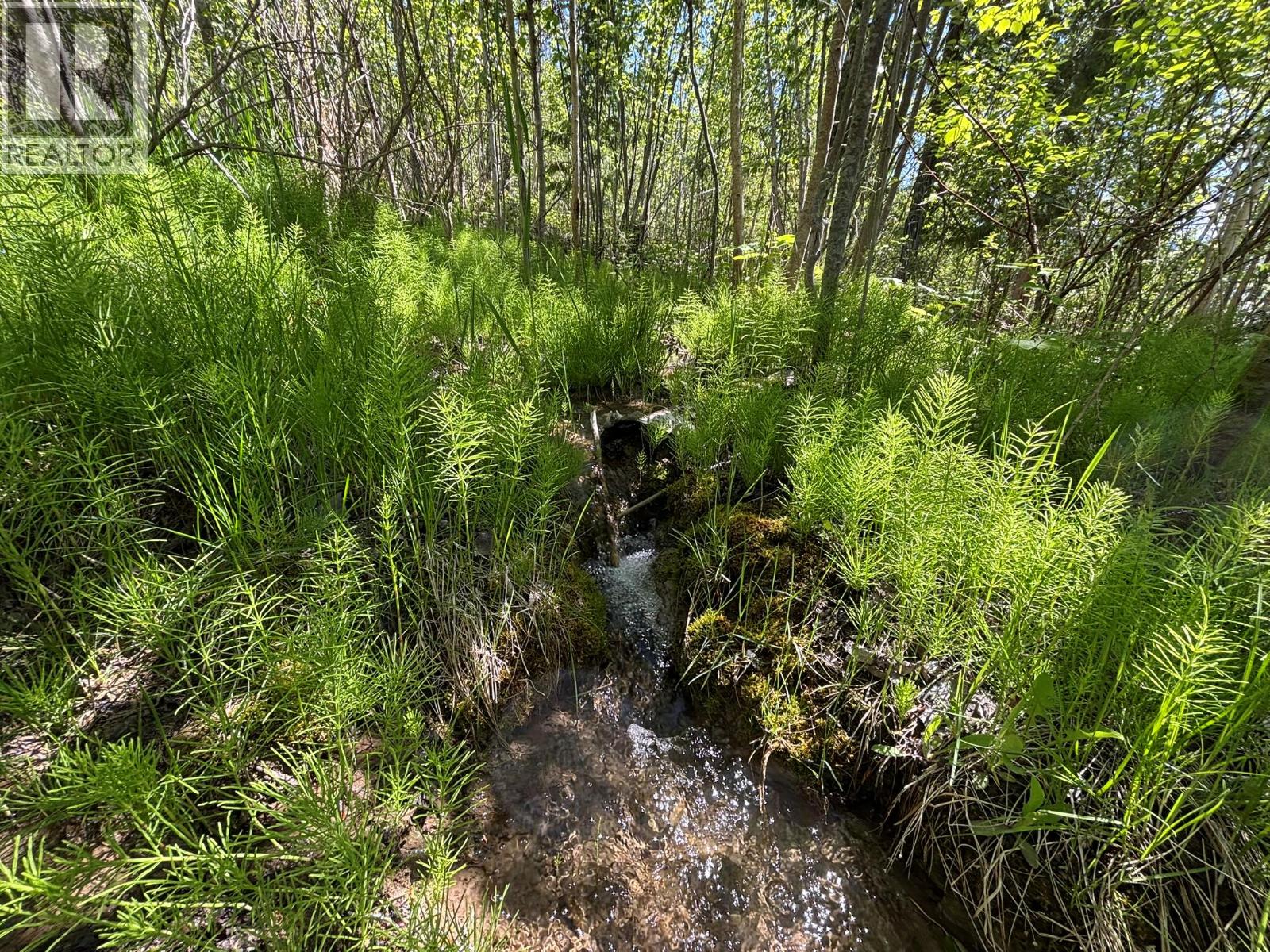 Lot 6 Lonneke Trail Lot# 6, Anglemont, British Columbia  V0E 1M8 - Photo 11 - 10382405