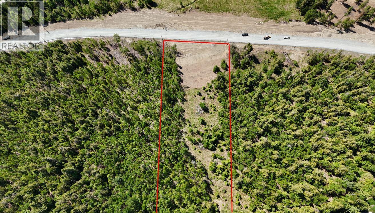 Lot 6 Lonneke Trail Lot# 6, Anglemont, British Columbia  V0E 1M8 - Photo 7 - 10382405