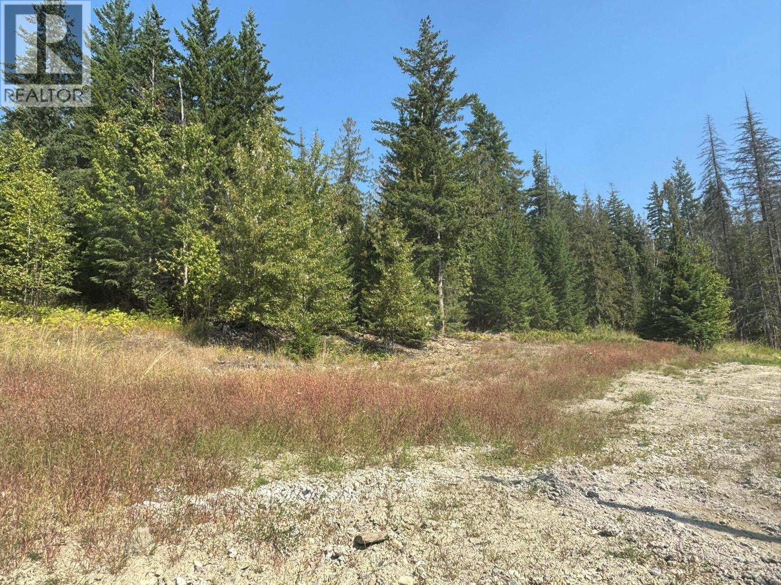 Lot 1 Lonneke Road Lot# 1, Anglemont, British Columbia  V0E 1M8 - Photo 5 - 10382356