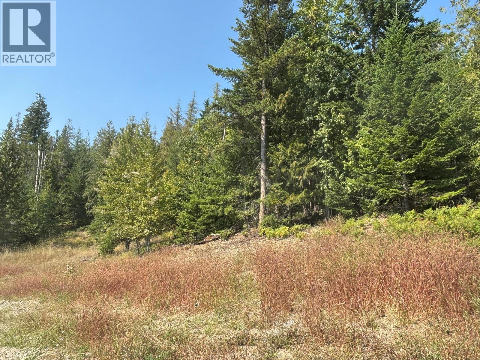 Lot 1 Lonneke Road Lot# 1, Anglemont, British Columbia  V0E 1M8 - Photo 6 - 10382356