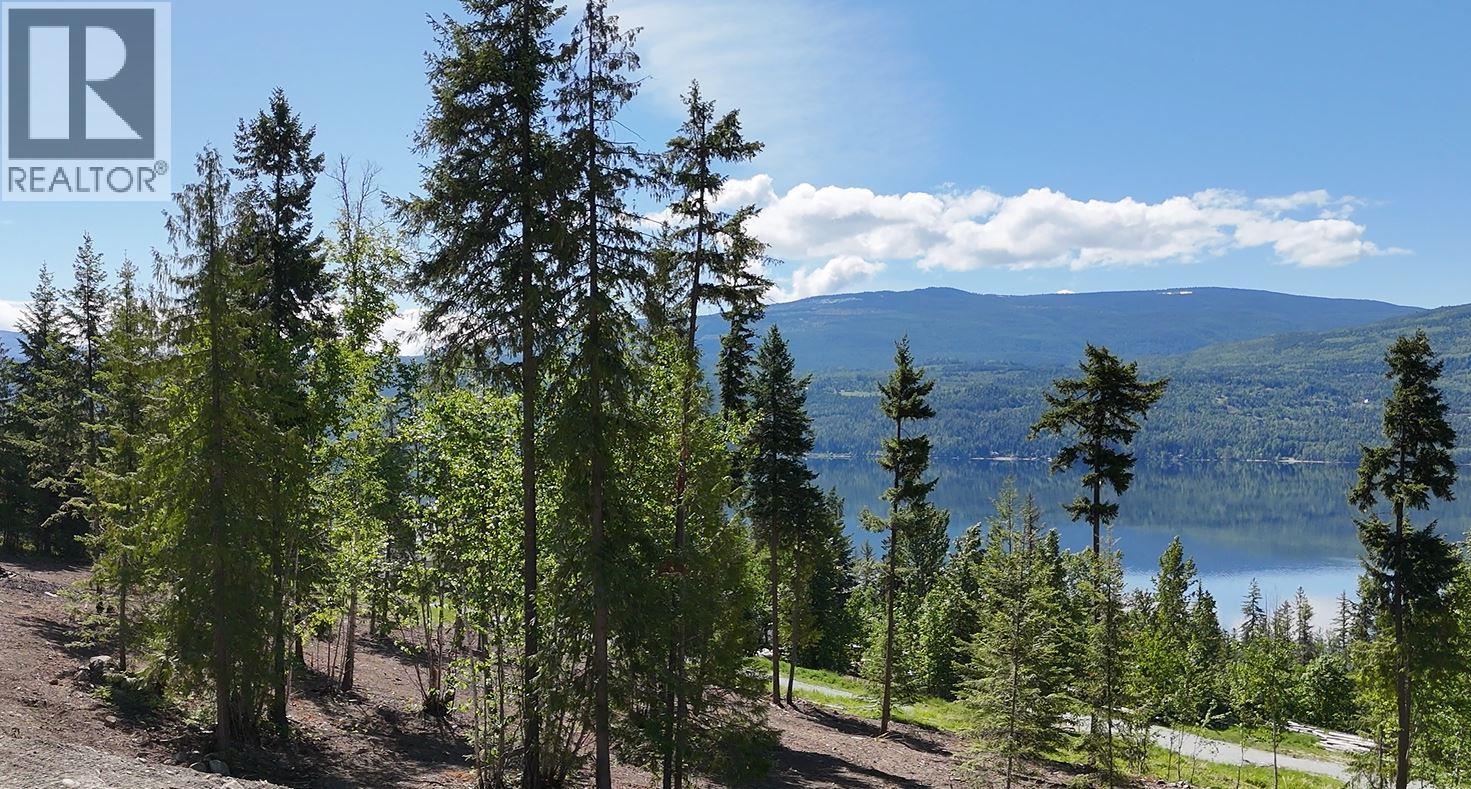 Lot 16 Lonneke Trail Lot# 16, Anglemont, British Columbia  V0E 1M8 - Photo 8 - 10382431