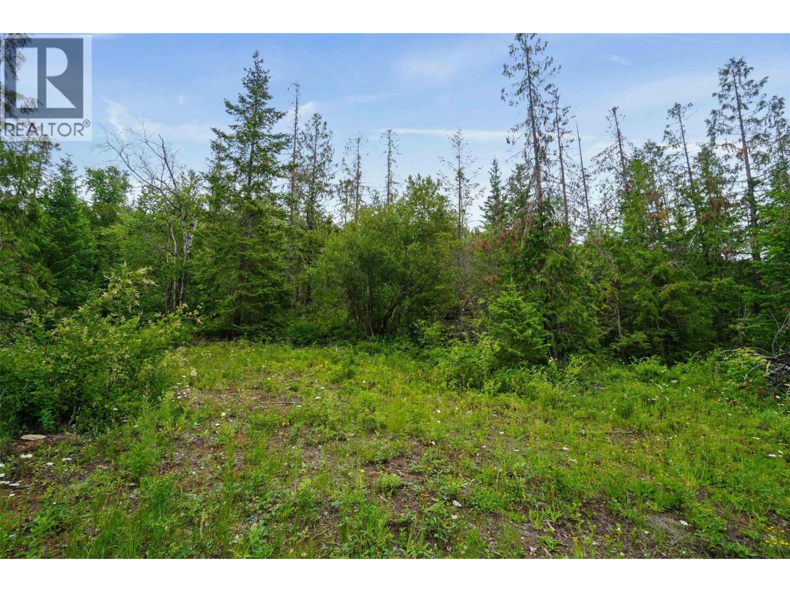 Ph 3 Tatlow Road Se Lot# 4, Salmon Arm, British Columbia  V1E 2P8 - Photo 17 - 10382347