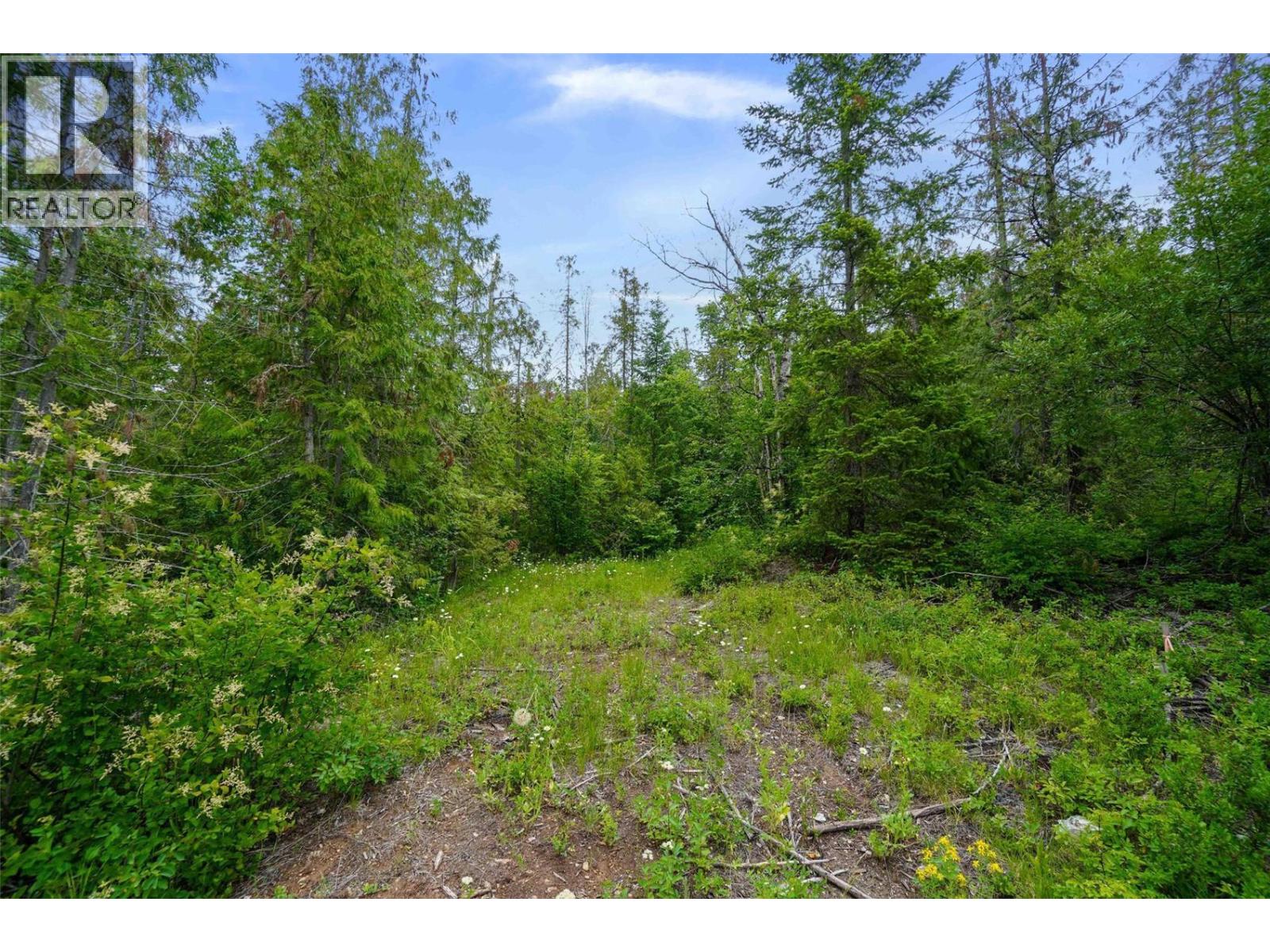 Ph 3 Tatlow Road Se Lot# 4, Salmon Arm, British Columbia  V1E 2P8 - Photo 18 - 10382347