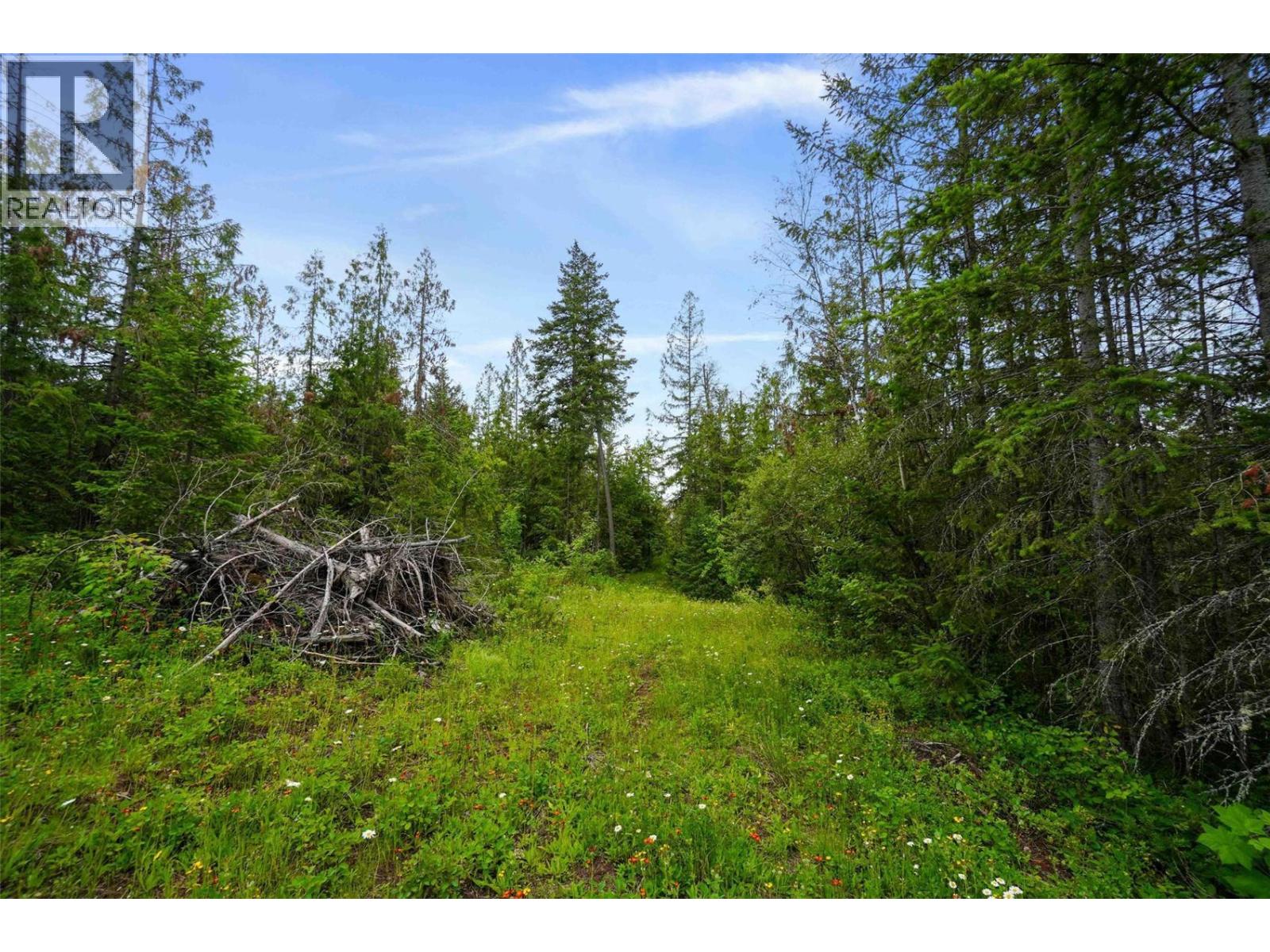 Ph 3 Tatlow Road Se Lot# 4, Salmon Arm, British Columbia  V1E 2P8 - Photo 19 - 10382347