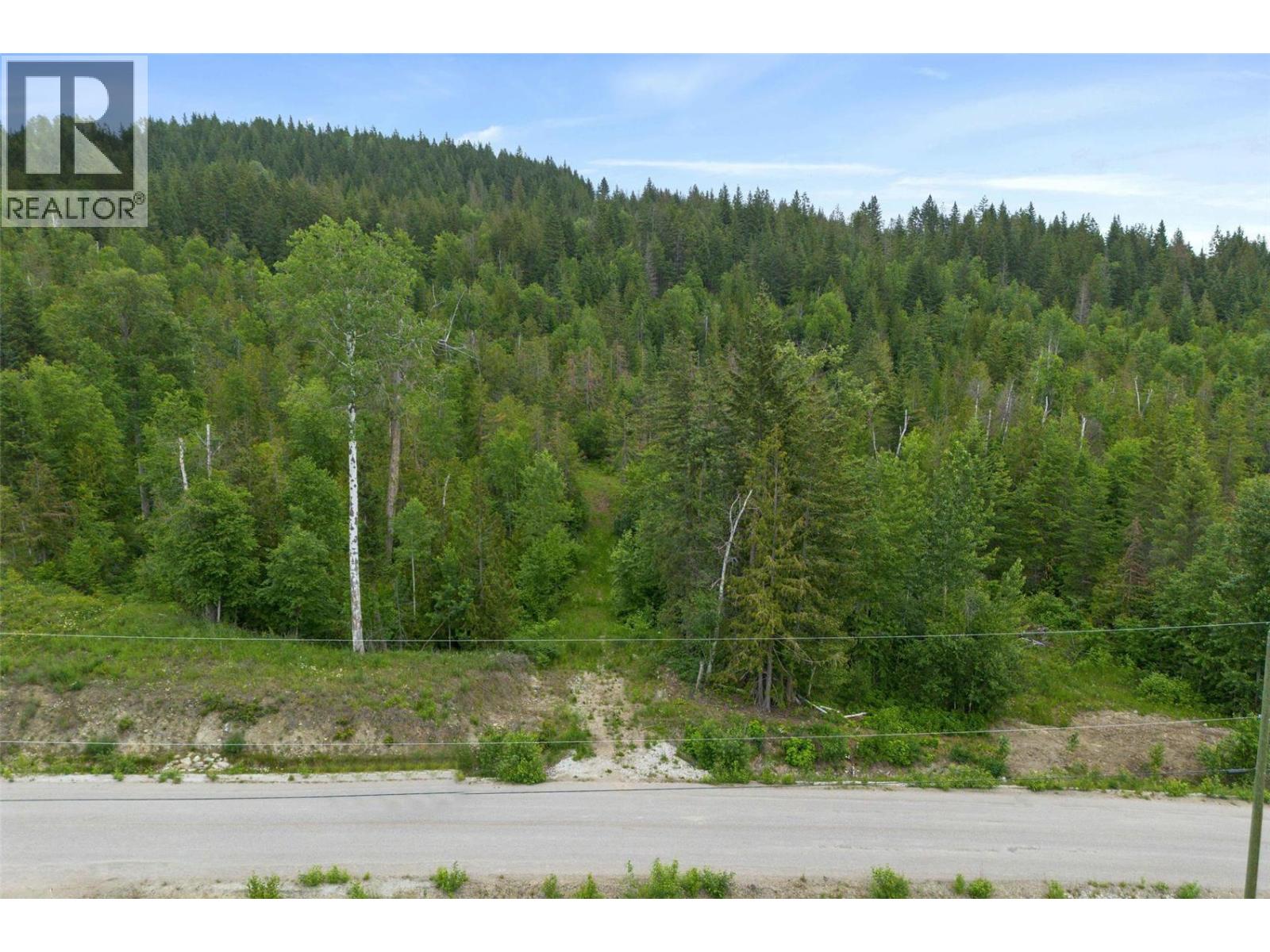 Ph 3 Tatlow Road Se Lot# 4, Salmon Arm, British Columbia  V1E 2P8 - Photo 9 - 10382347