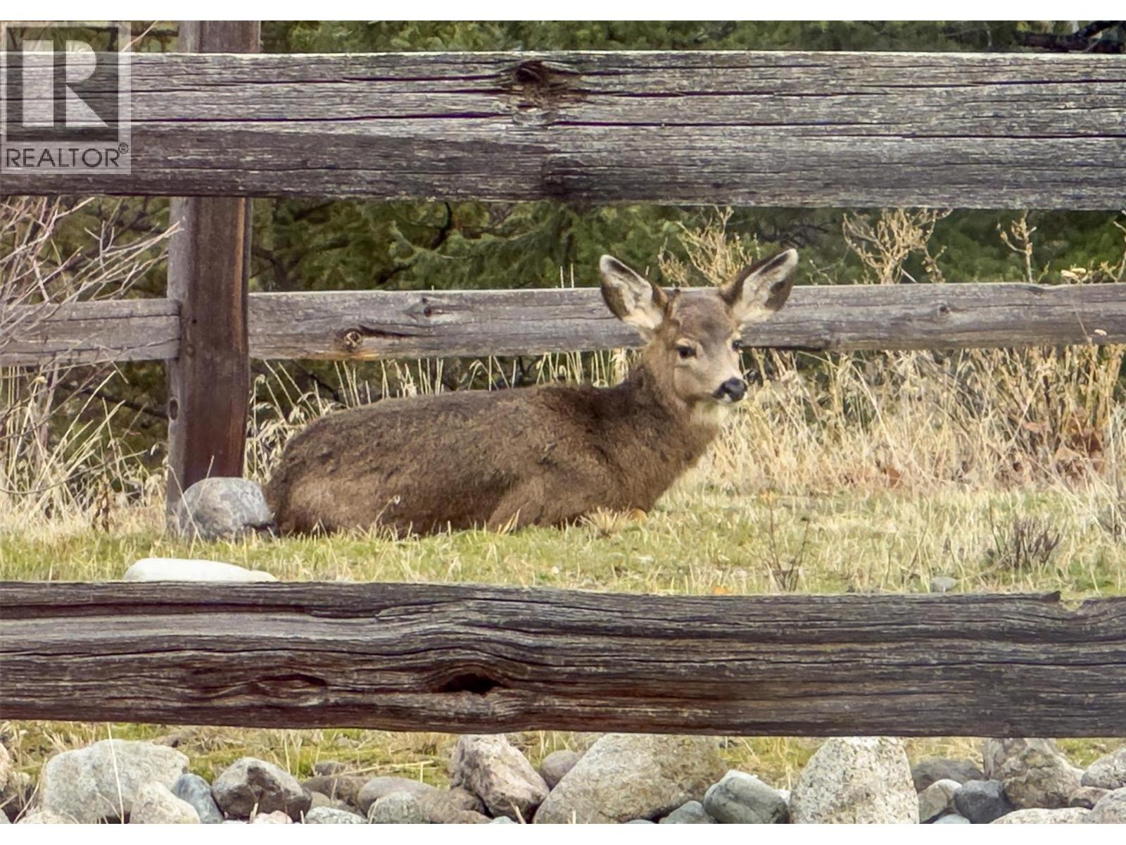 4035 Gellatly Road S Unit# 273, West Kelowna, British Columbia  V4T 1R7 - Photo 67 - 10382277