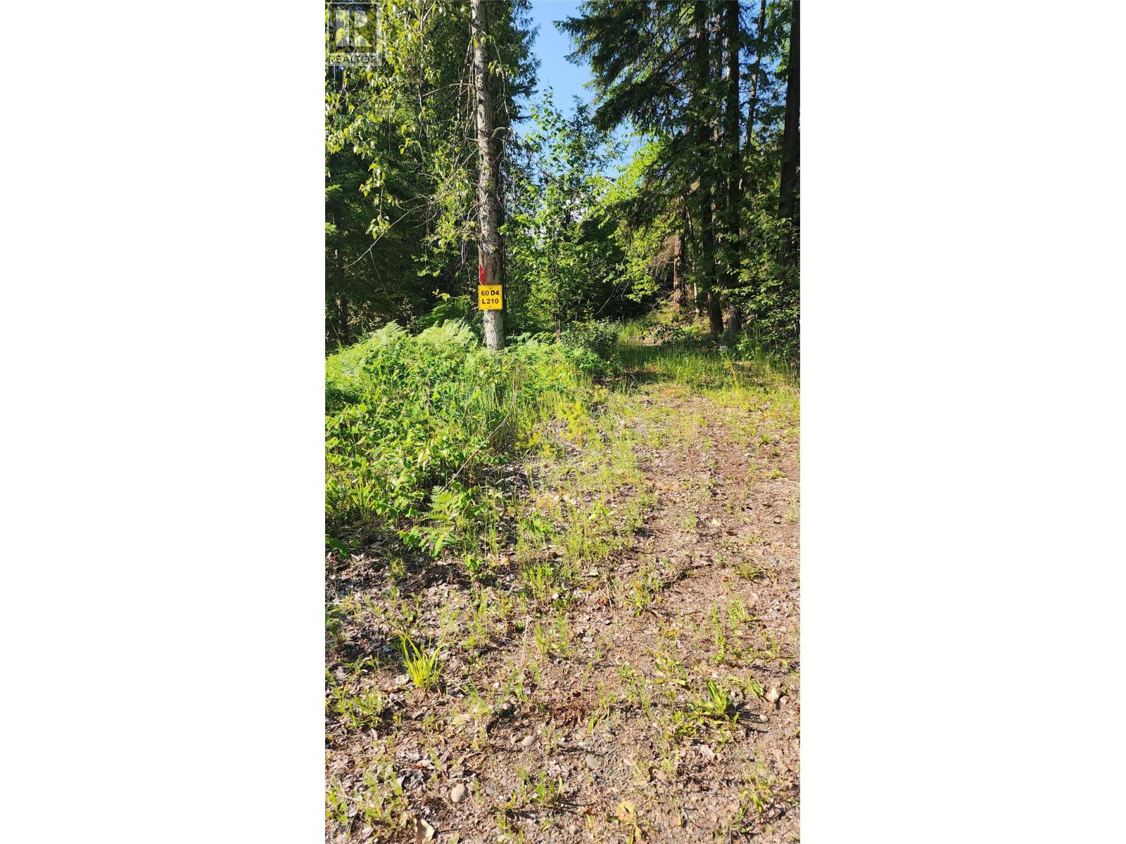 Lot 19 6 Highway, Nakusp, British Columbia  V0G 1R1 - Photo 10 - 10382808