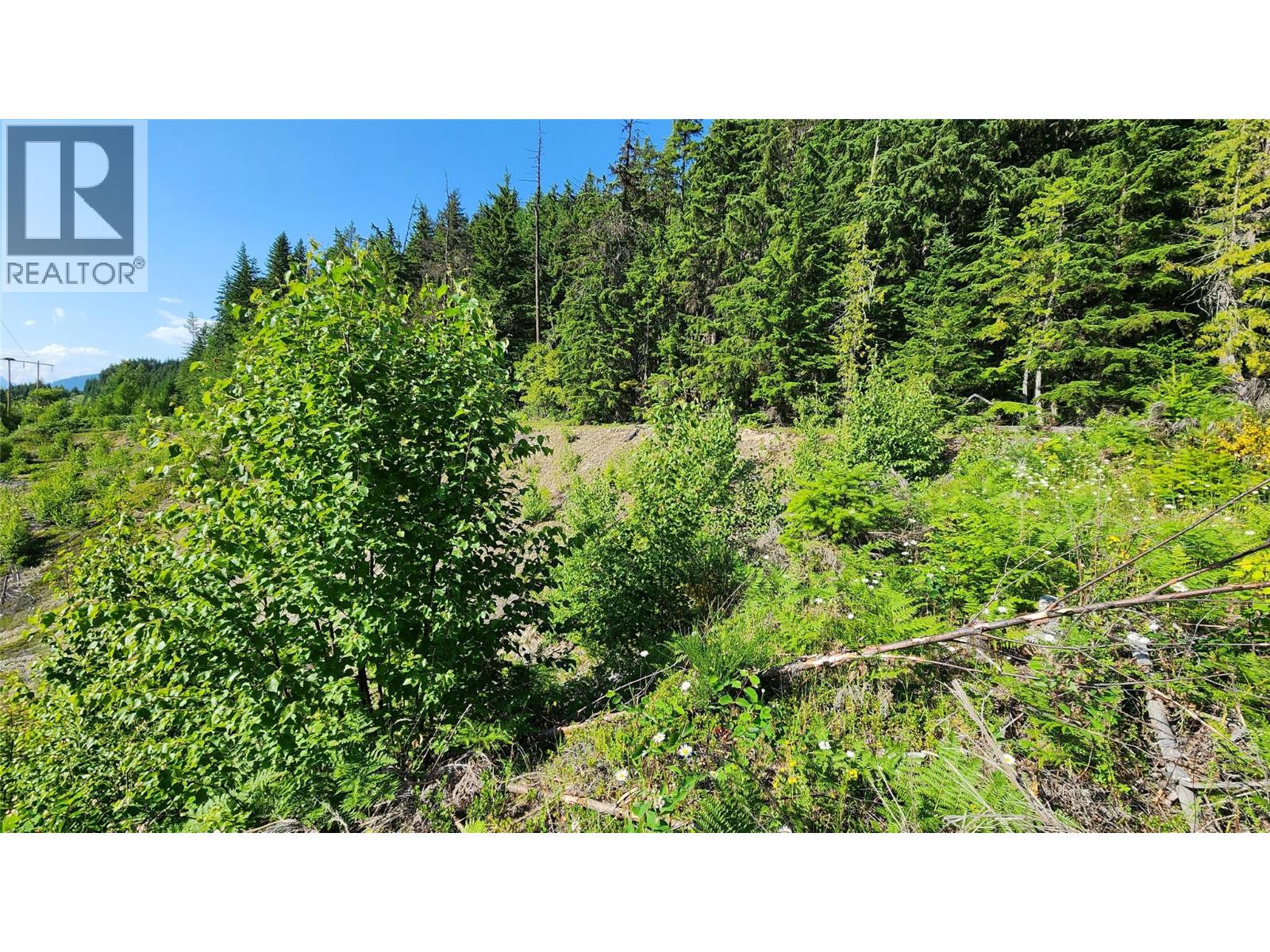 Lot 19 6 Highway, Nakusp, British Columbia  V0G 1R1 - Photo 2 - 10382808