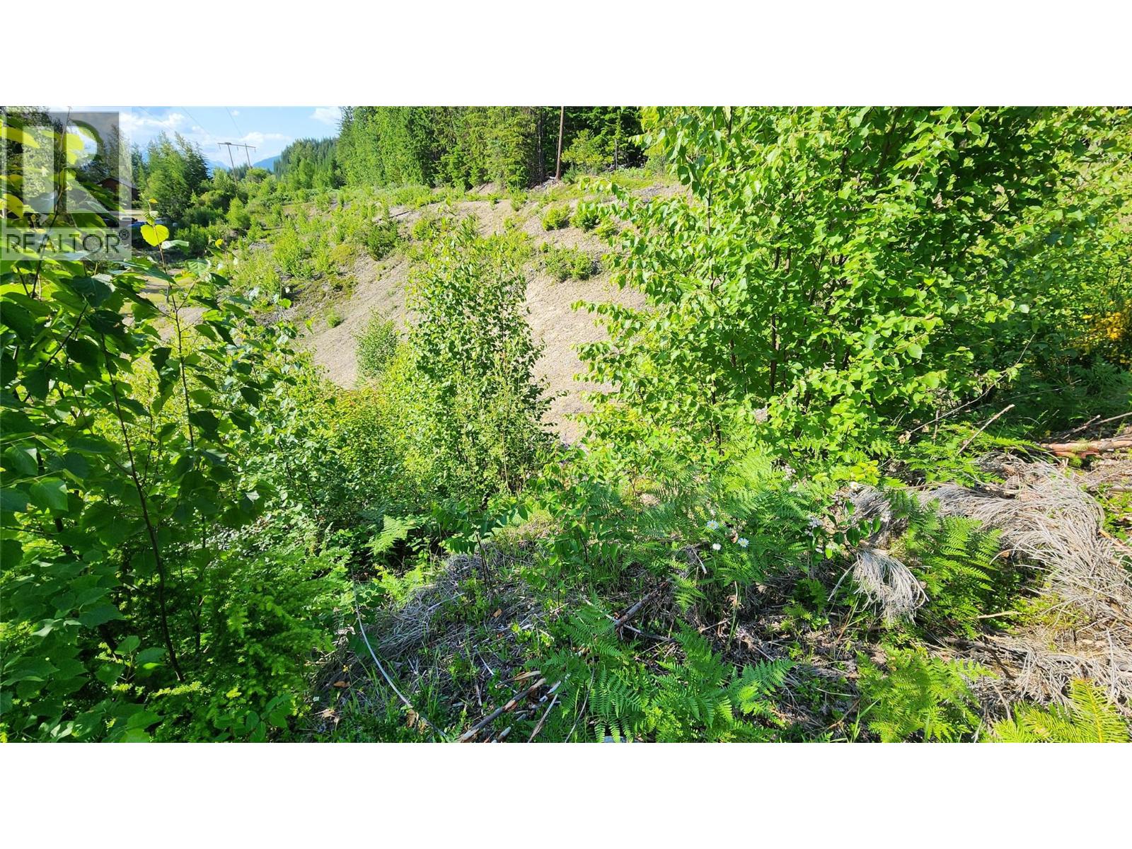 Lot 19 6 Highway, Nakusp, British Columbia  V0G 1R1 - Photo 3 - 10382808