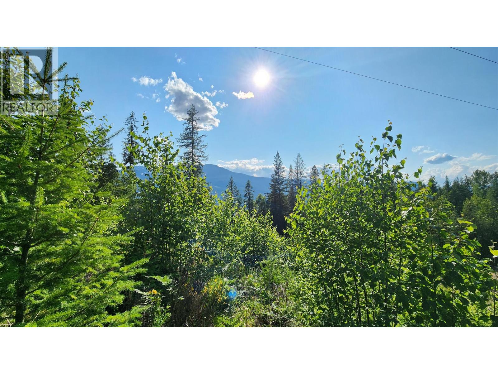 Lot 19 6 Highway, Nakusp, British Columbia  V0G 1R1 - Photo 4 - 10382808