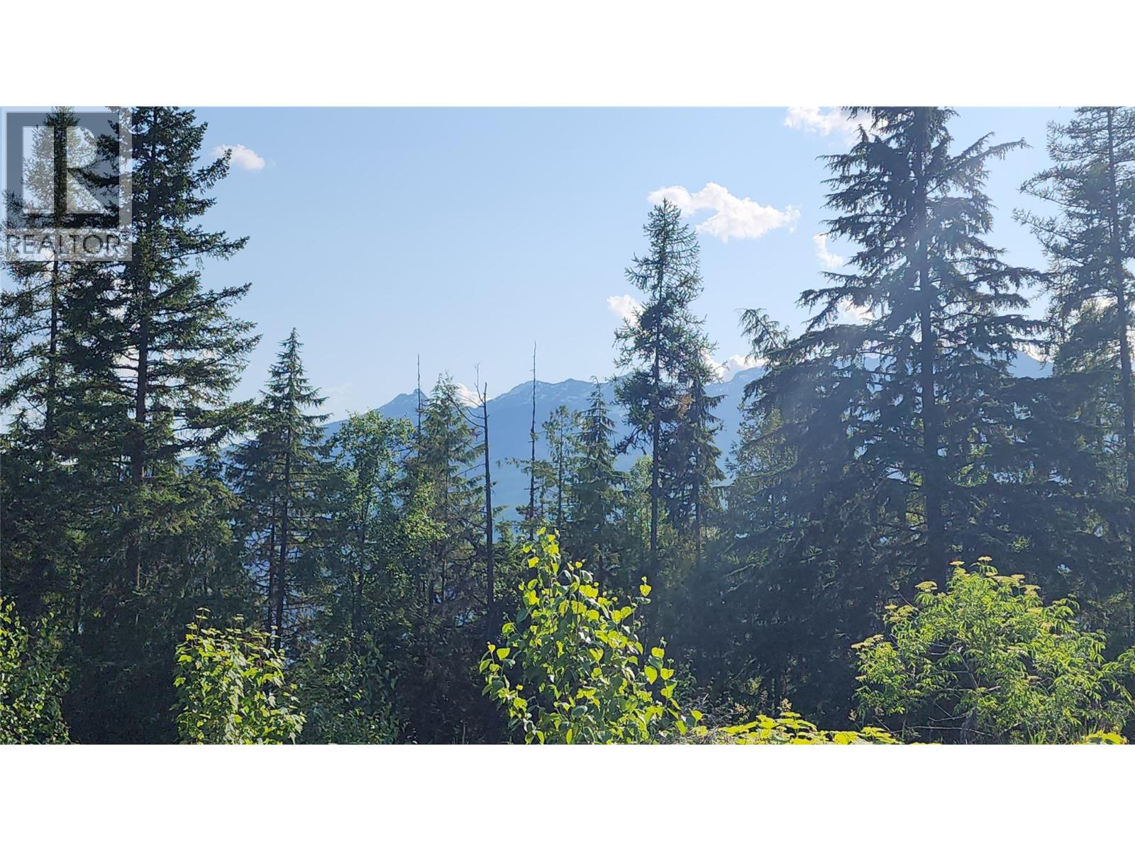 Lot 19 6 Highway, Nakusp, British Columbia  V0G 1R1 - Photo 5 - 10382808