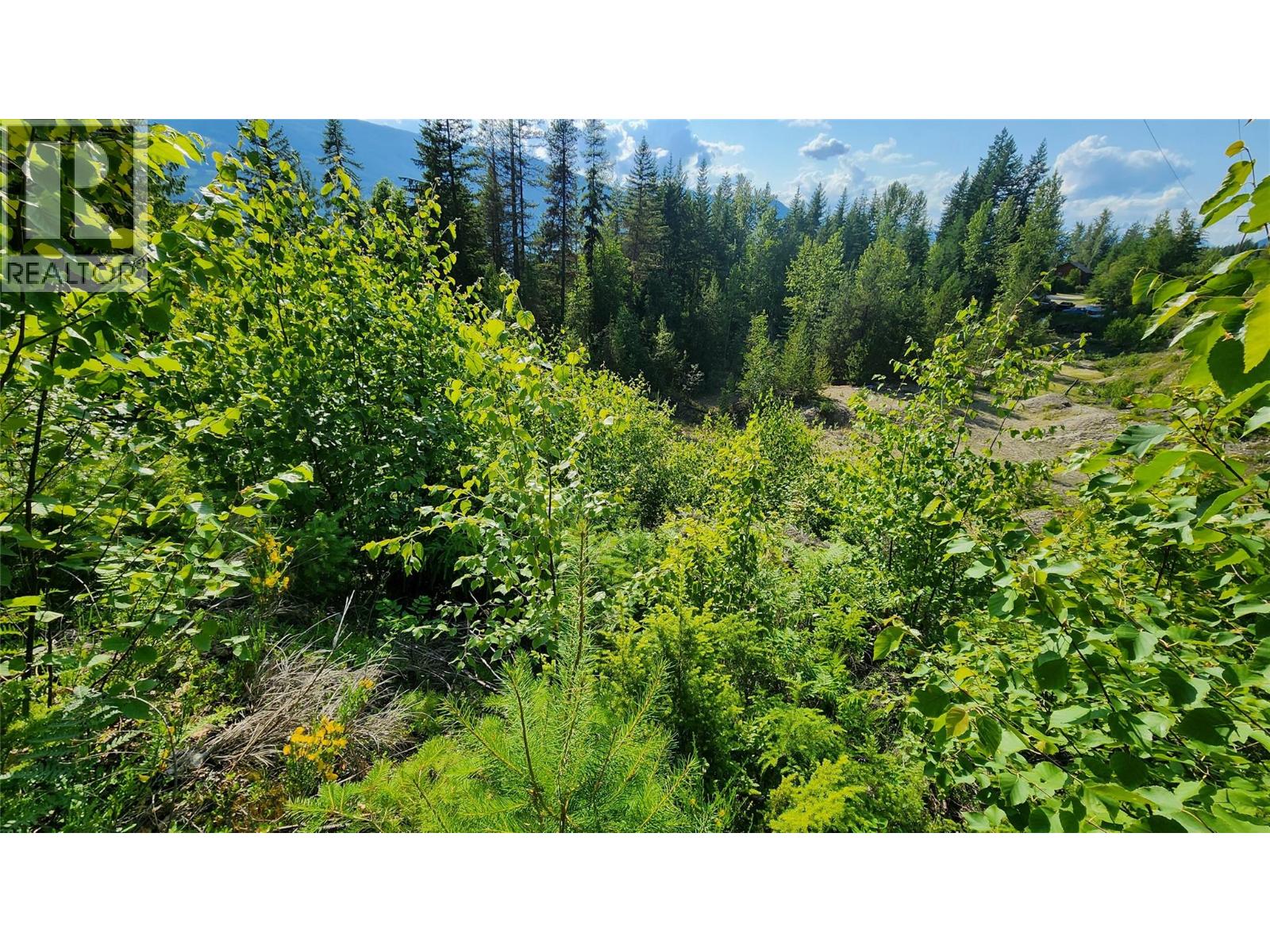Lot 19 6 Highway, Nakusp, British Columbia  V0G 1R1 - Photo 6 - 10382808